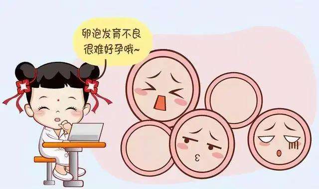 什么样的卵泡是好卵泡